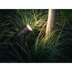 Philips by Signify Hue Outdoor Lily Spike Spots